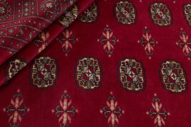 Pakistański Buchara 3ply - 2
