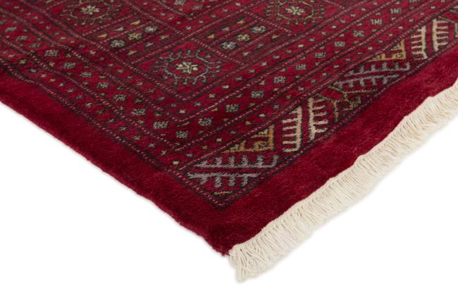Pakistański Buchara 3ply - 3