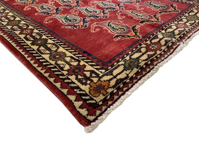 Shiraz - 3