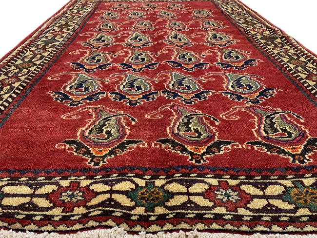 Shiraz - 4