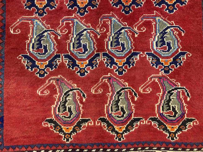 Shiraz - 5