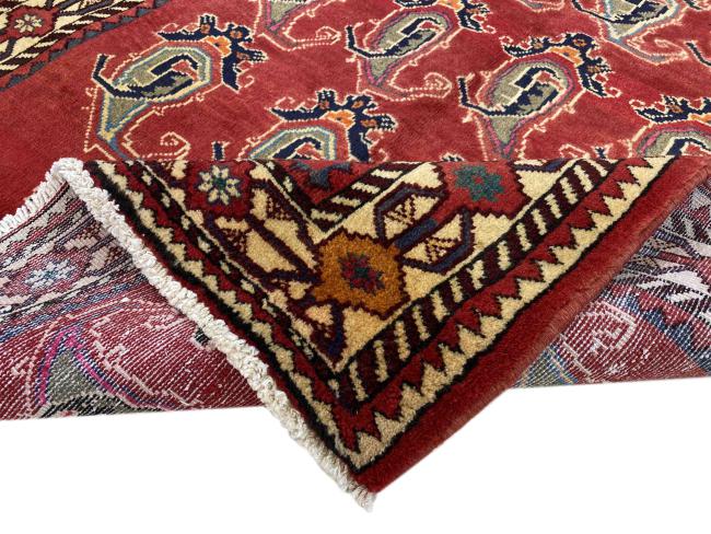 Shiraz - 6