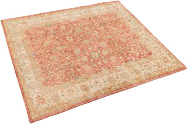 Ziegler Farahan - 2