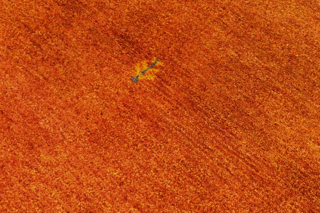 ギャッベ ペルシャ - 3