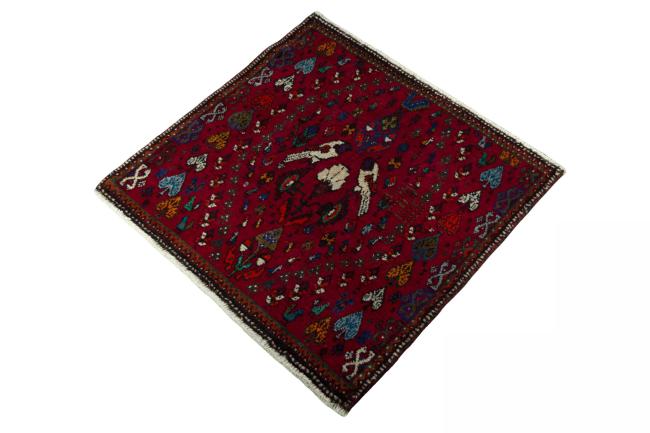 Shiraz - 1