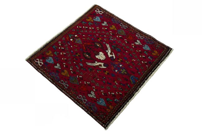 Shiraz - 2