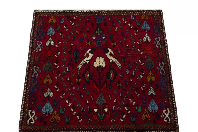 Shiraz - 3