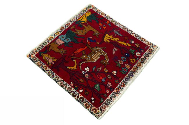 Shiraz - 2