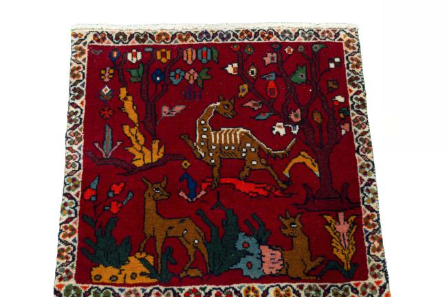 Shiraz - 3
