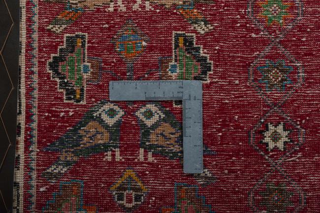 Shiraz - 4