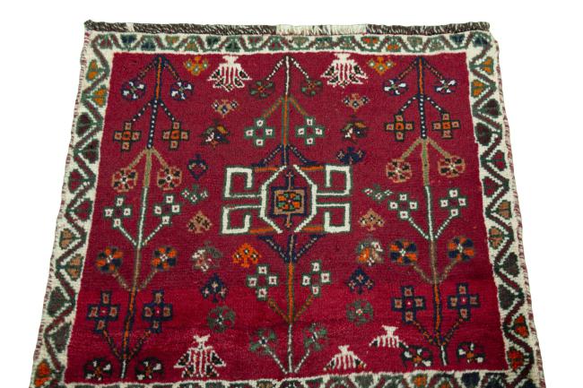 Shiraz - 3