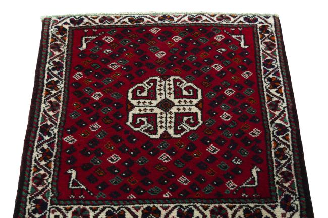 Shiraz - 3