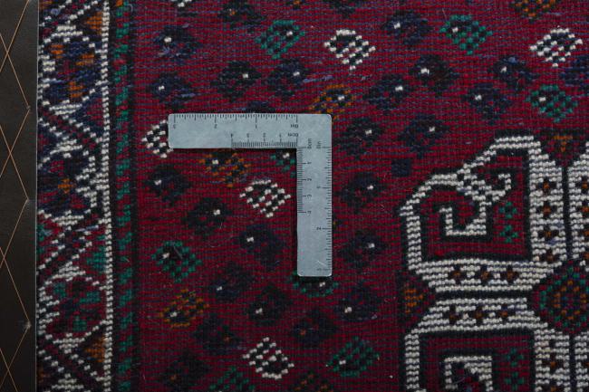 Shiraz - 4
