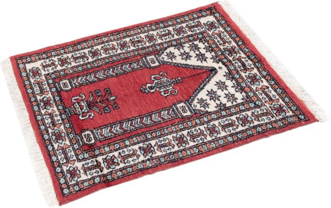 Pakistański Buchara 3Ply - 2