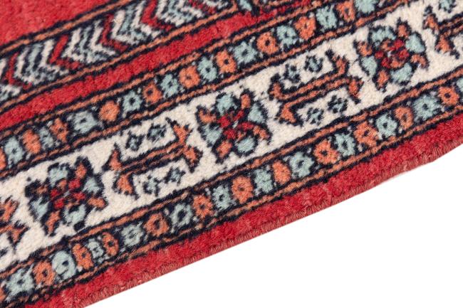 Pakistański Buchara 3Ply - 4