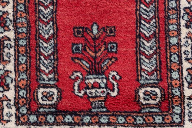Pakistański Buchara 3Ply - 6