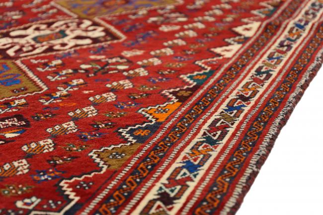 Shiraz - 6