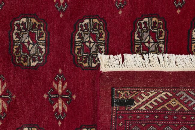 Pakistański Buchara 3ply - 1