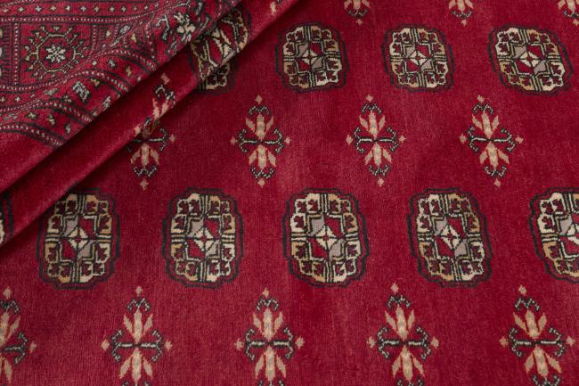 Pakistański Buchara 3ply - 2