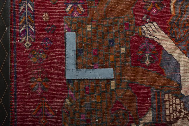 Shiraz - 4