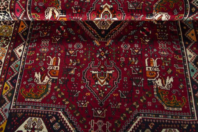 Shiraz - 8