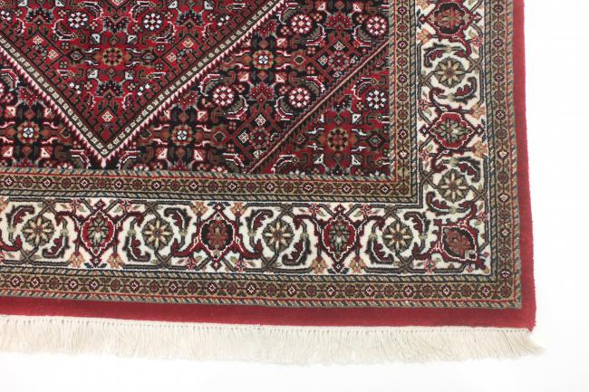 Indo Bidjar Super - 10