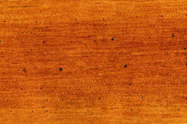 Persja Gabbeh Loribaft Atash - 6