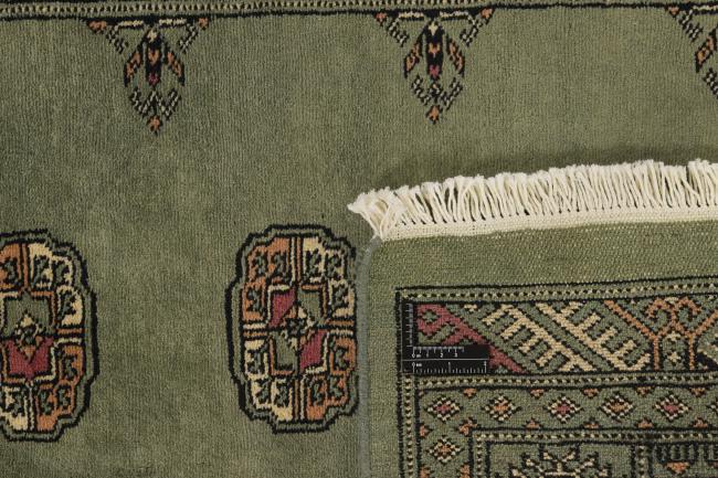 Pakistan Buchara 3ply - 1