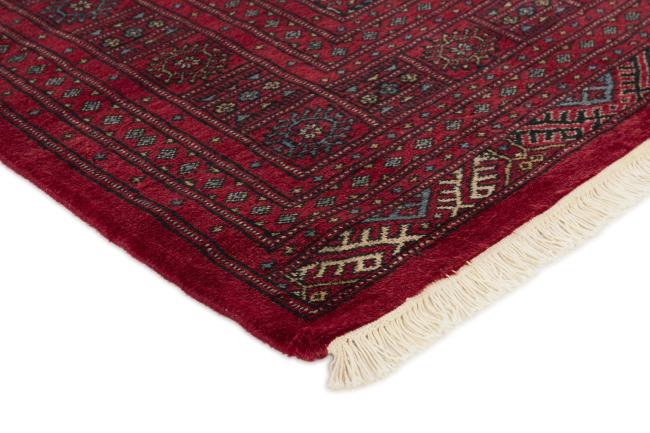 Pakistański Buchara 3ply - 3
