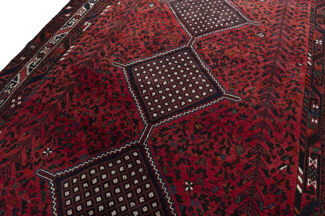 Shiraz - 4