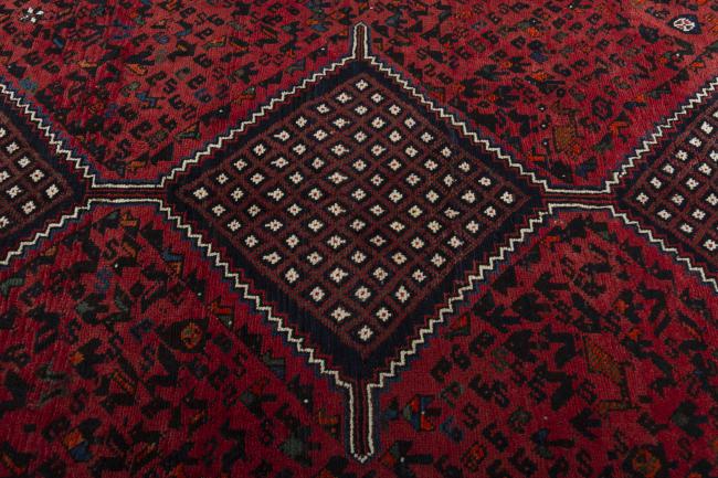 Shiraz - 5