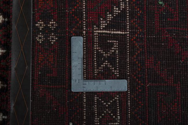 Shiraz - 10