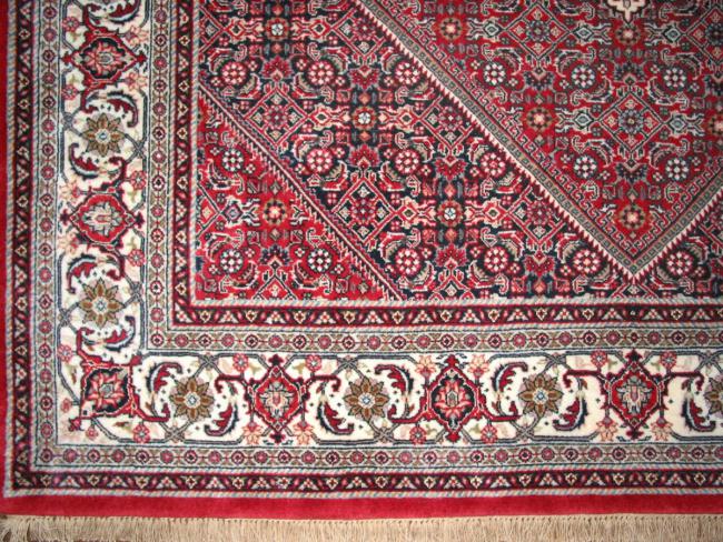 Indo Bidjar - 5