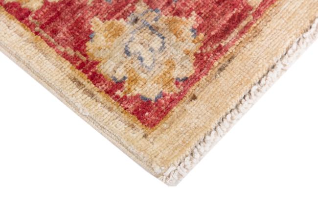 Ziegler Farahan - 5