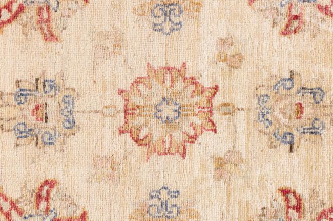 Ziegler Farahan - 6