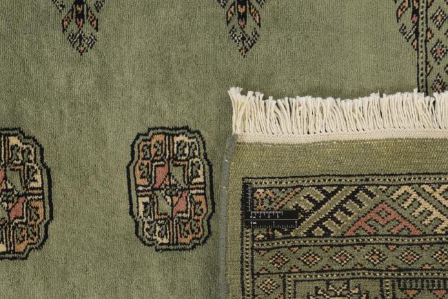 Pakistan Buchara 3ply - 1