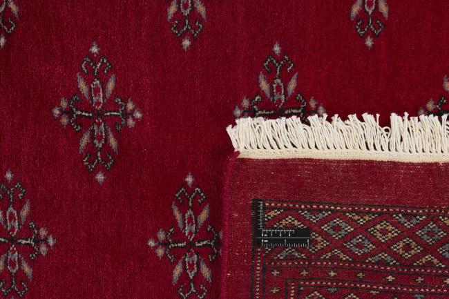 Pakistański Buchara 3ply - 1