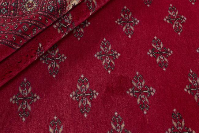 Pakistański Buchara 3ply - 2
