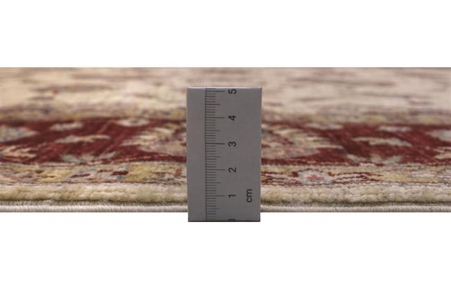 Ziegler Farahan - 3