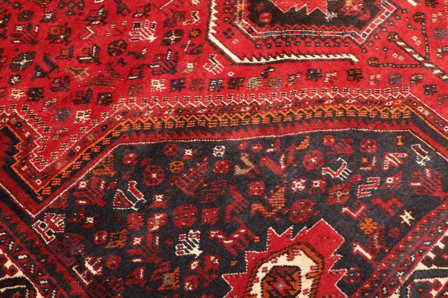 Shiraz - 5
