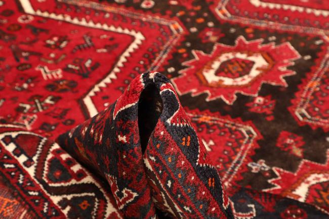 Shiraz - 8