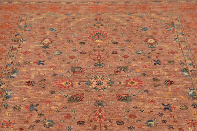 Ziegler Farahan - 7
