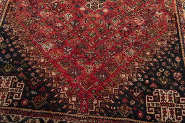 Shiraz - 6