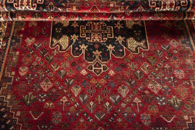 Shiraz - 9