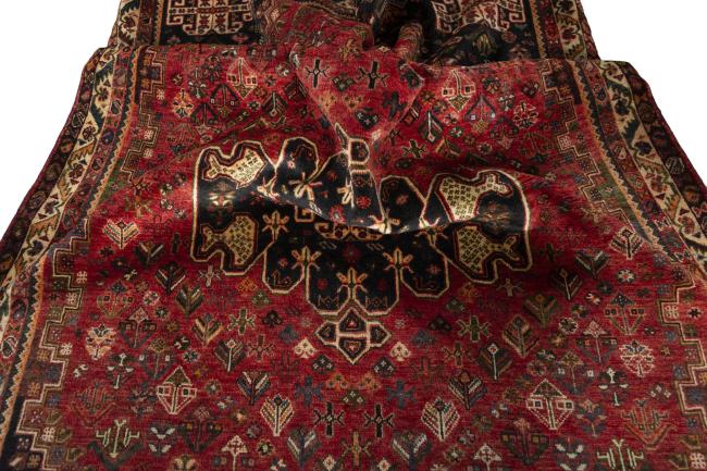 Shiraz - 10