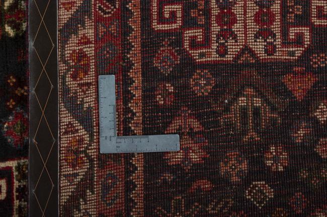 Shiraz - 11