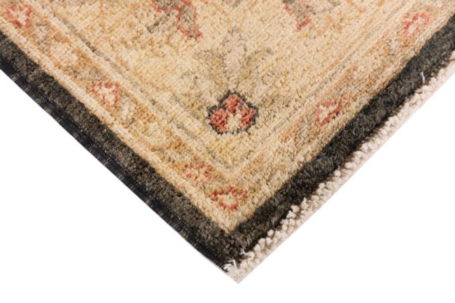 Ziegler Farahan - 5