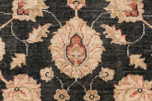 Ziegler Farahan - 6