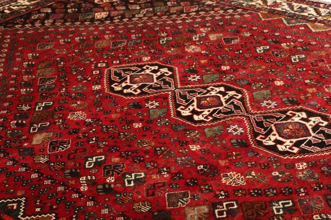 Shiraz - 6