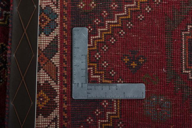 Shiraz - 9